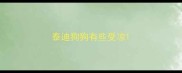 泰迪狗狗有些受凉