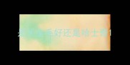 是买金毛好还是哈士奇