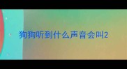 狗狗听到什么声音会叫