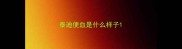 泰迪便血是什么样子