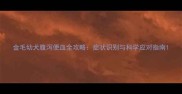 金毛幼犬腹泻便血全攻略症状识别与科学应对指南