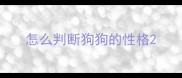 怎么判断狗狗的性格