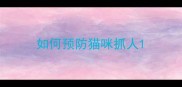 如何预防猫咪抓人