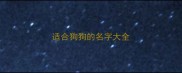适合狗狗的名字大全