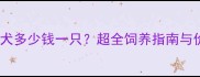 哈士奇幼犬多少钱一只超全饲养指南与价格参考