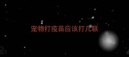 宠物打疫苗应该打几联