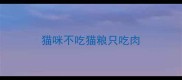 猫咪不吃猫粮只吃肉