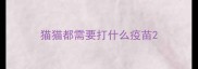 猫猫都需要打什么疫苗