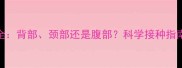 狗狗疫苗注射部位全背部颈部还是腹部科学接种指南助您守护毛孩健康