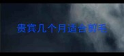 贵宾几个月适合剪毛