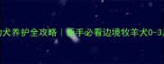 两个月边牧幼犬养护全攻略新手必看边境牧羊犬0-3月龄成长指南