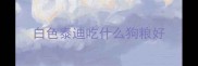 白色泰迪吃什么狗粮好