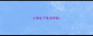 小狗生下来没呼吸