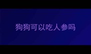 狗狗可以吃人参吗