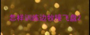 怎样训练边牧接飞盘