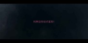 纯种边牧幼犬鉴别