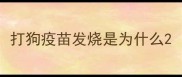 打狗疫苗发烧是为什么