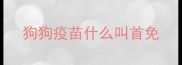 狗狗疫苗什么叫首免