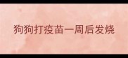 狗狗打疫苗一周后发烧