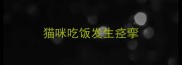 猫咪吃饭发生痉挛