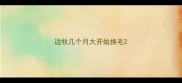边牧几个月大开始换毛