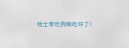 哈士奇吃狗粮吃坏了