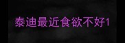 泰迪最近食欲不好