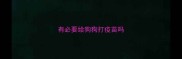 有必要给狗狗打疫苗吗