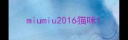miumiu2016猫咪