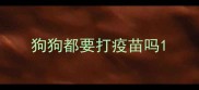 狗狗都要打疫苗吗