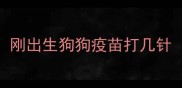 刚出生狗狗疫苗打几针