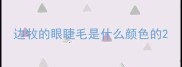 边牧的眼睫毛是什么颜色的