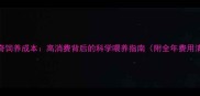 哈士奇饲养成本高消费背后的科学喂养指南附全年费用清单