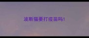 波斯猫要打疫苗吗