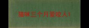 猫咪三个月爱咬人
