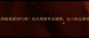 泰迪幼犬狗粮最新排行榜幼犬期营养关键期这10款品牌值得参考