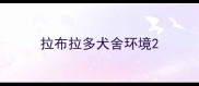 拉布拉多犬舍环境