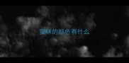 猫咪的颜色有什么