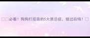 必看狗狗打疫苗的5大禁忌症错过后悔