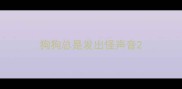 狗狗总是发出怪声音