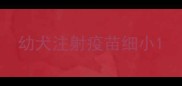 幼犬注射疫苗细小