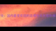 边牧毛色类型全国内最受欢迎的边境牧羊犬颜色推荐与饲养指南