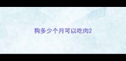狗多少个月可以吃肉