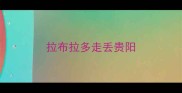 拉布拉多走丢贵阳