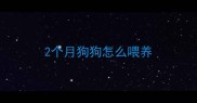 2个月狗狗怎么喂养