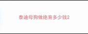 泰迪母狗做绝育多少钱