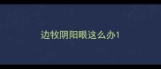 边牧阴阳眼这么办