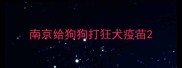 南京给狗狗打狂犬疫苗