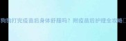 狗狗打完疫苗后身体舒服吗附疫苗后护理全攻略