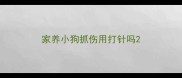 家养小狗抓伤用打针吗